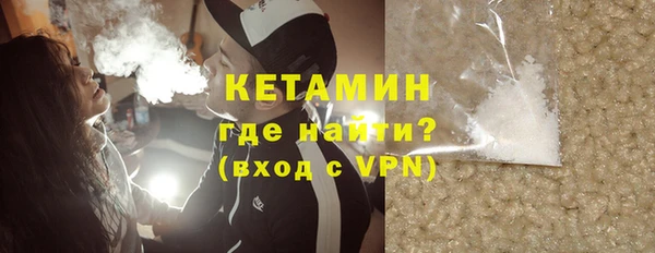 дмт Бородино