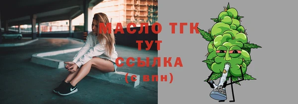 дмт Бородино