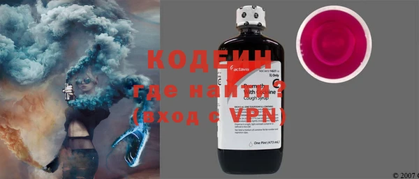 дмт Бородино