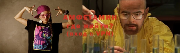 дмт Бородино