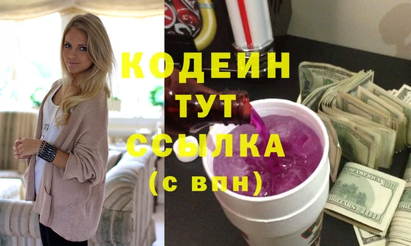 дмт Бородино