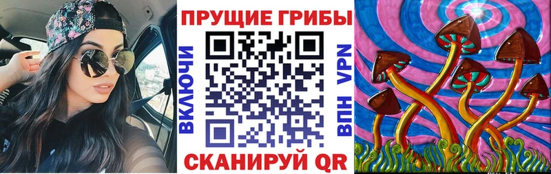 Псилоцибиновые грибы Psilocybe  Купить где  Бокситогорск 